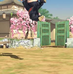 Meet your Posher, Castillo